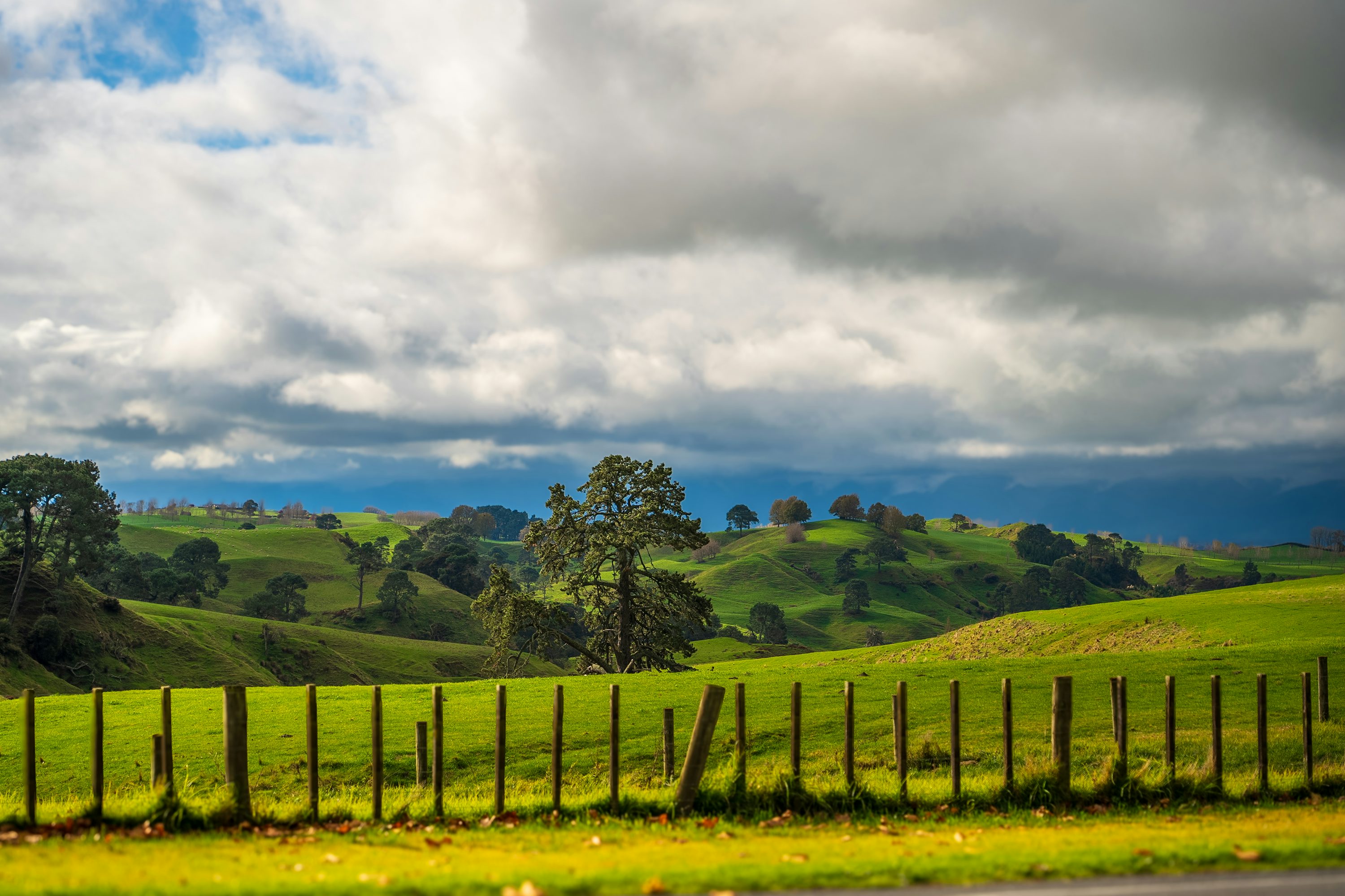 New Zealand paddocks and rural property