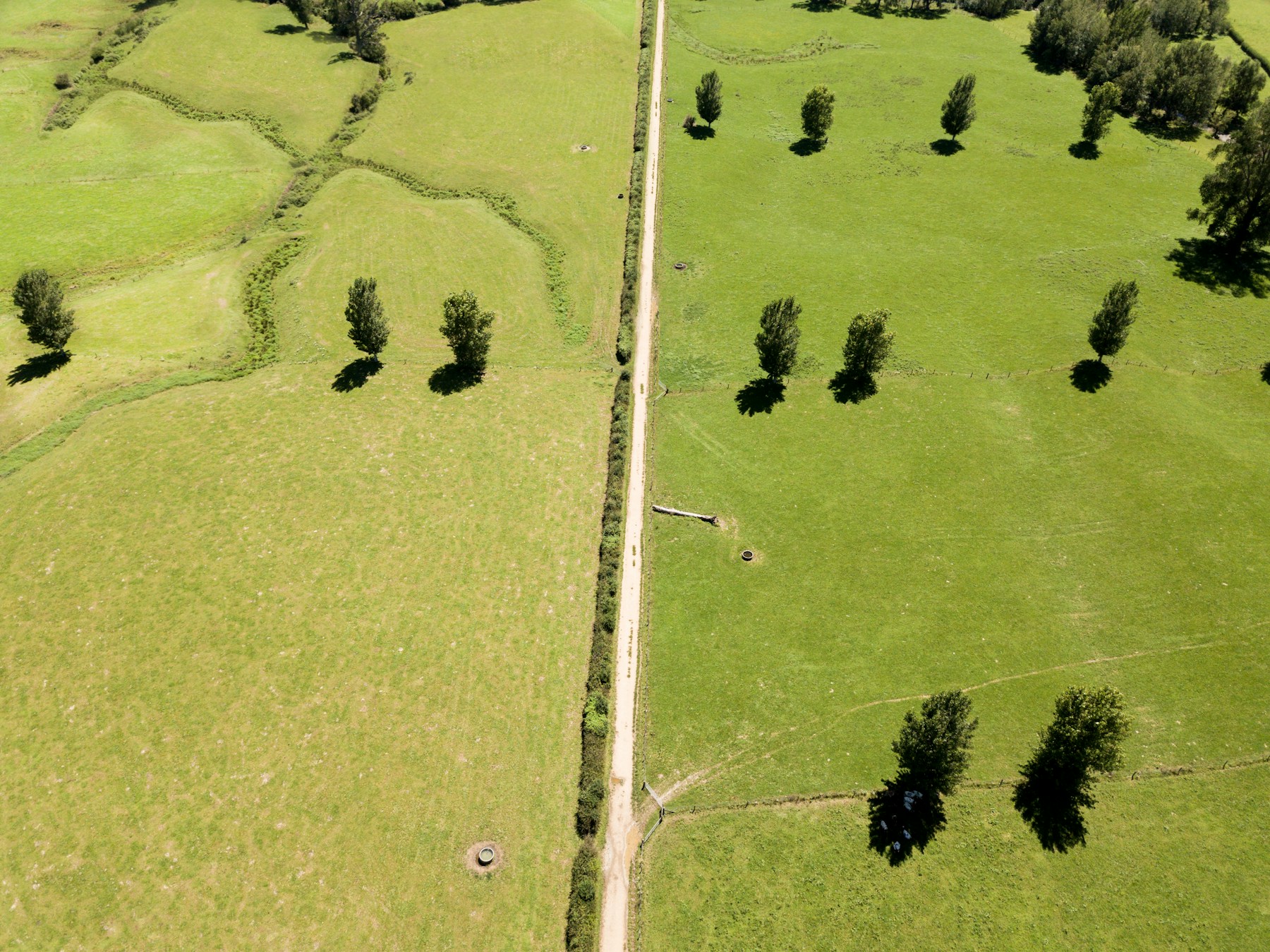 New Zealand paddocks and rural property